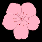 WWW,459se·COM网站APPAPP应用